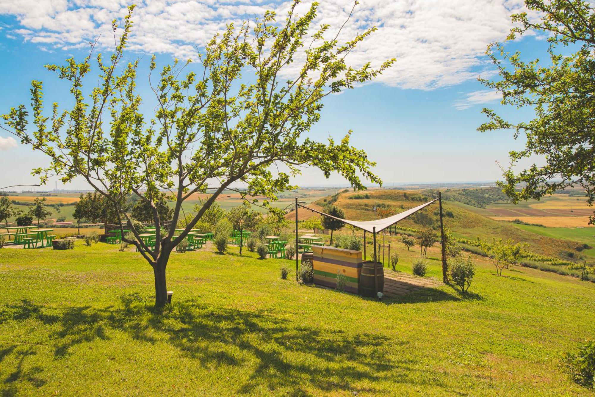 Casale Poggio Nebbia Villa Tarquinia Dış mekan fotoğraf