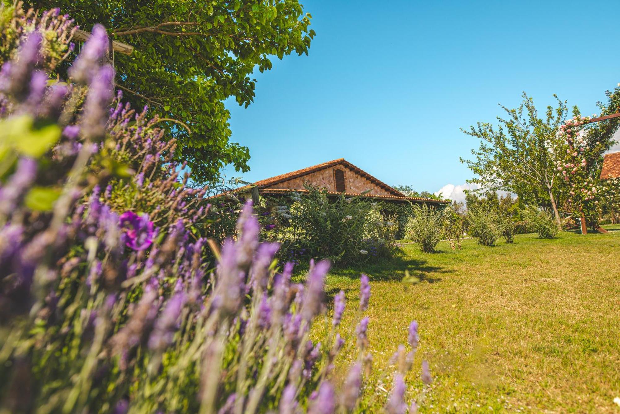 Casale Poggio Nebbia Villa Tarquinia Dış mekan fotoğraf